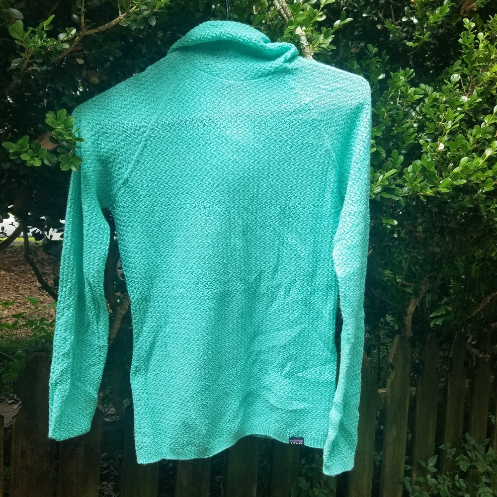 Patagonia hooded sweater